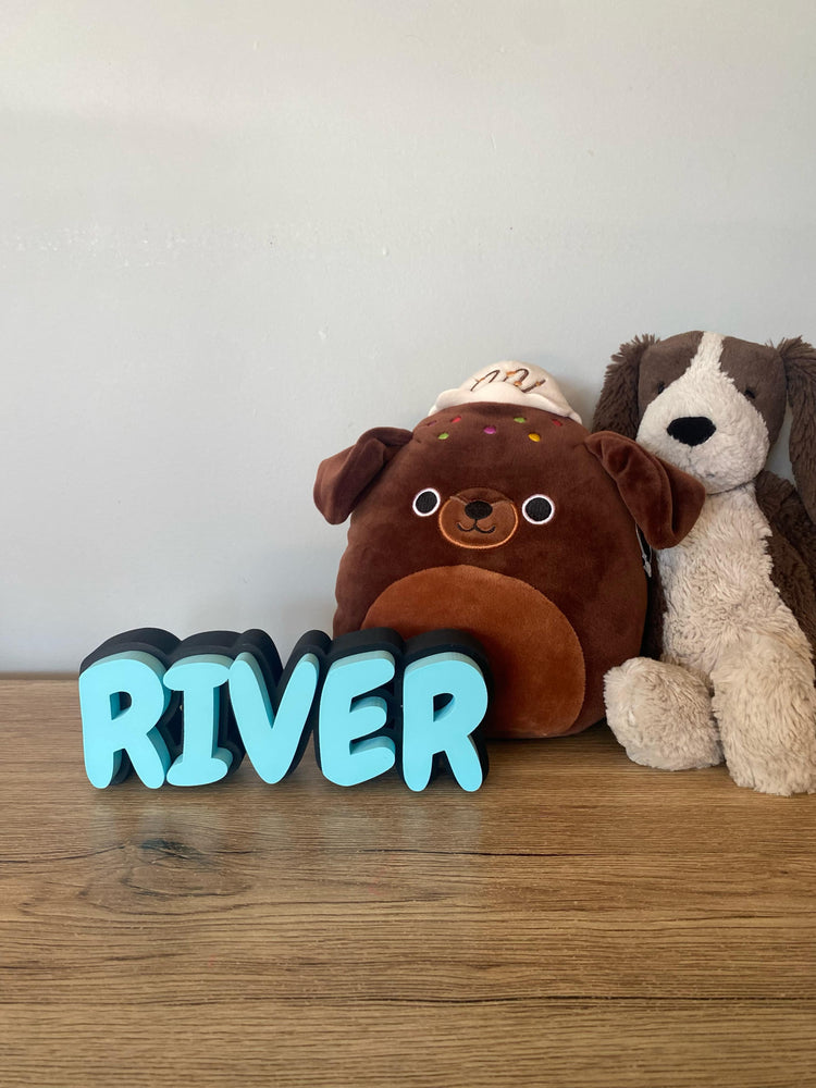 Custom Name Signs