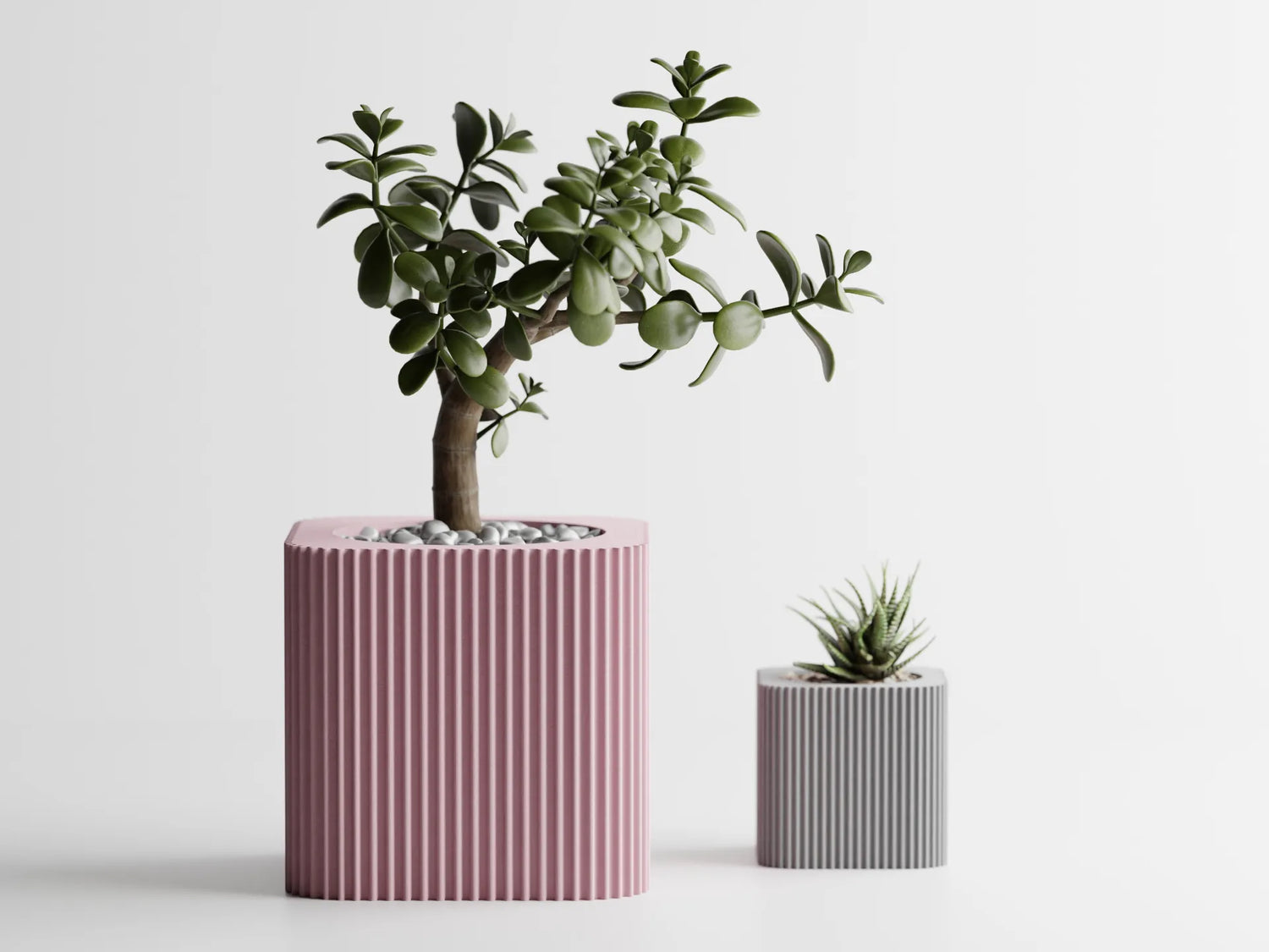 Two ribbed 3D printed planters in pastel pink and grey, each holding a succulent, displayed on a white background