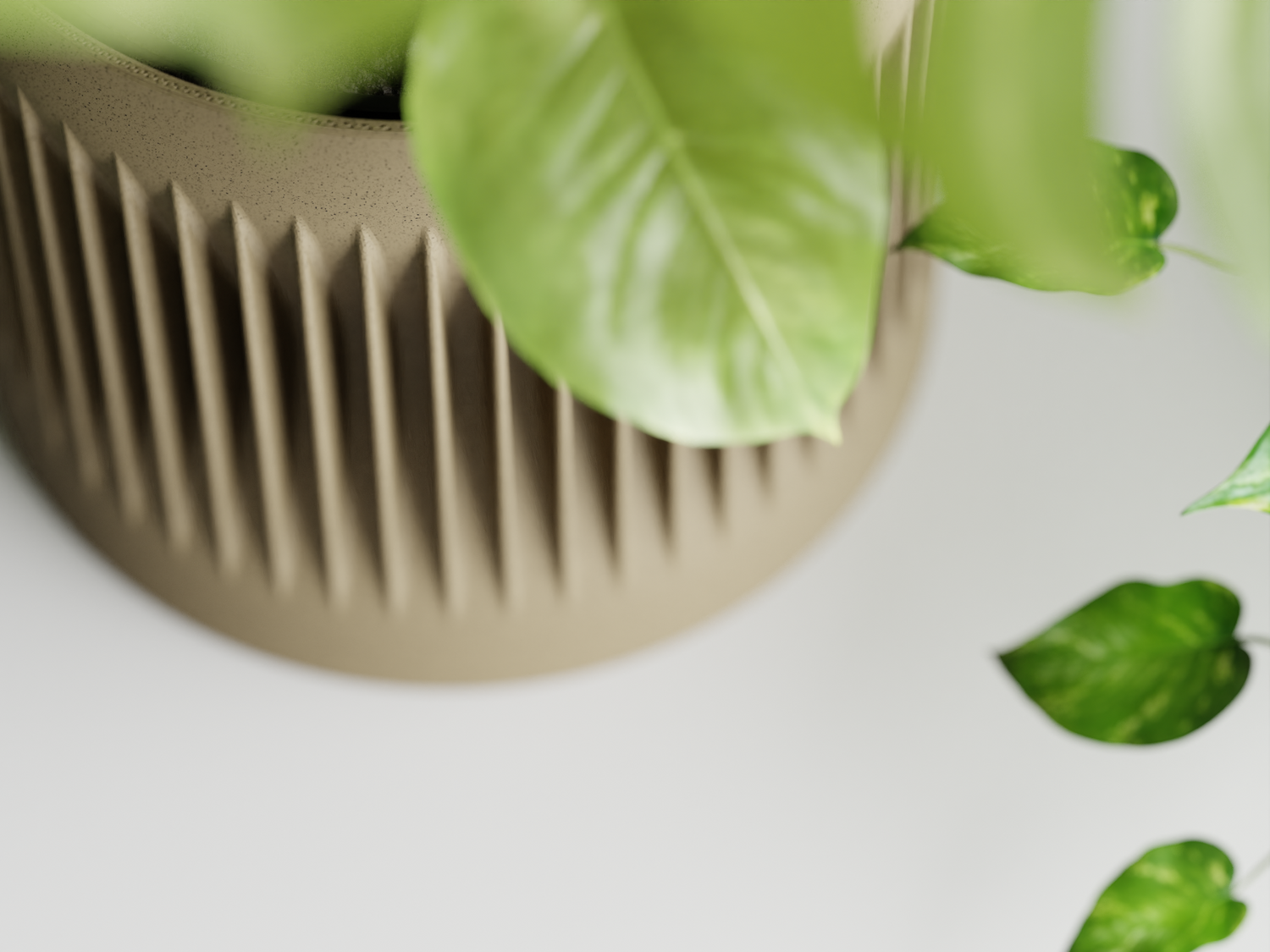 Verdure Planter – Modern Ribbed Plant Pot